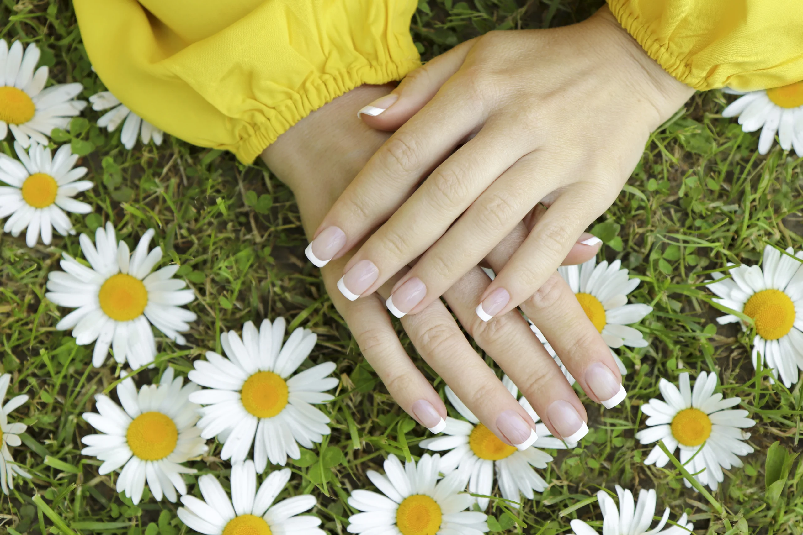french manicure field daisies summer - 2026 Nail Trends: Elegant and Expressive Looks for Every Occasion - Ciao Bella Salon Spa